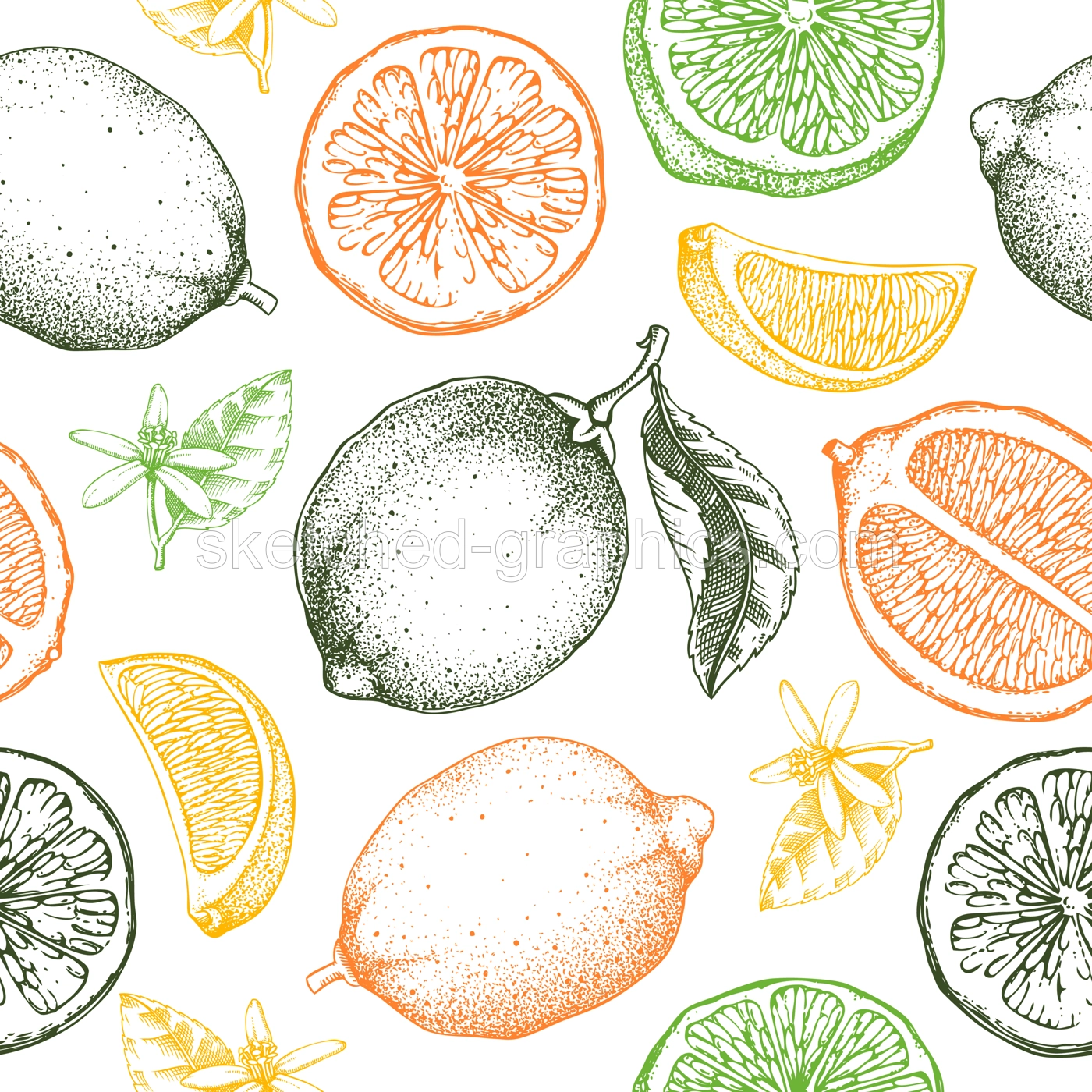 Lime fruit seamless pattern. Citrus fruit sketches in color. Botanical background. Exotic plants texture. Hand drawn vector illustration. NOT AI generated Illustration